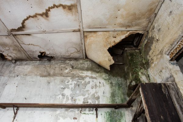 Cost of Water Damage Service in Loveland