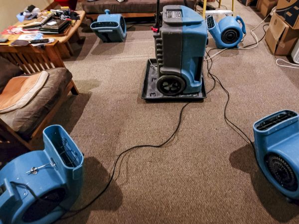 Cost of Flood Damage Recovery in Loveland