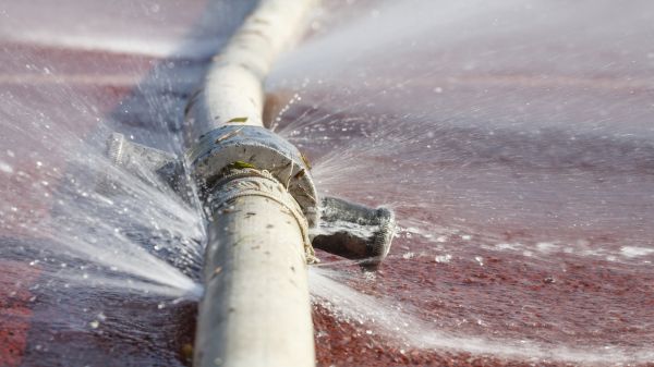Cost of Burst Pipe Cleanup in Loveland