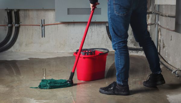 Cost of Flooded Basement Cleanup in Loveland