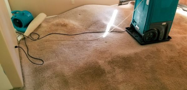 Cost of Flood Damage Cleanup in Loveland