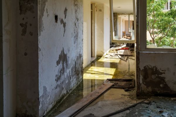 Cost of Water Removal Service in Loveland