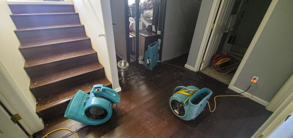 Cost of Water Damage Remediation in Loveland