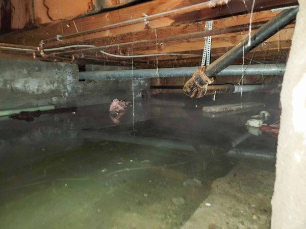 Cost of Water Mitigation Service in Loveland