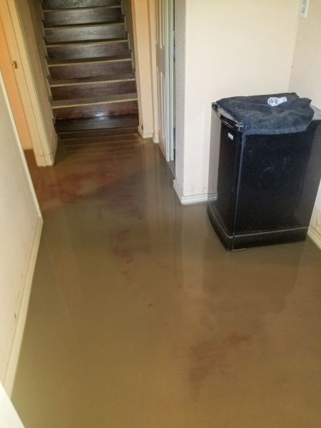 Cost of Emergency Water Removal in Loveland