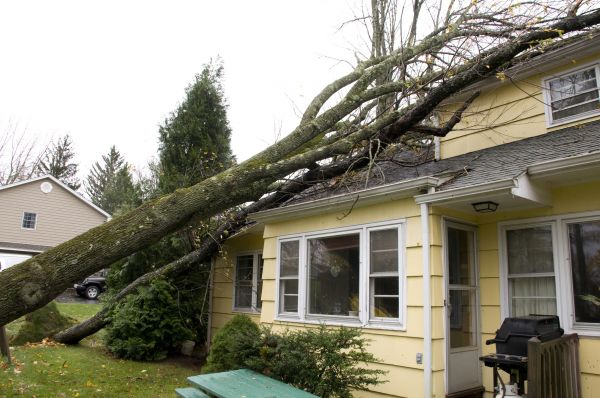 Hurricane Damage Repair in Loveland